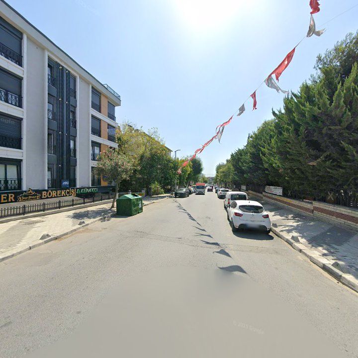 Fotoğraf 10