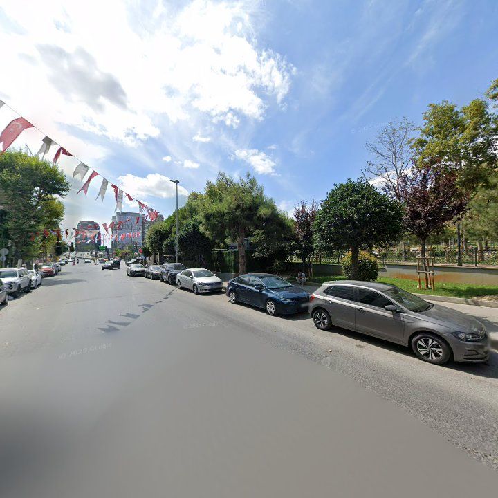 Fotoğraf 14