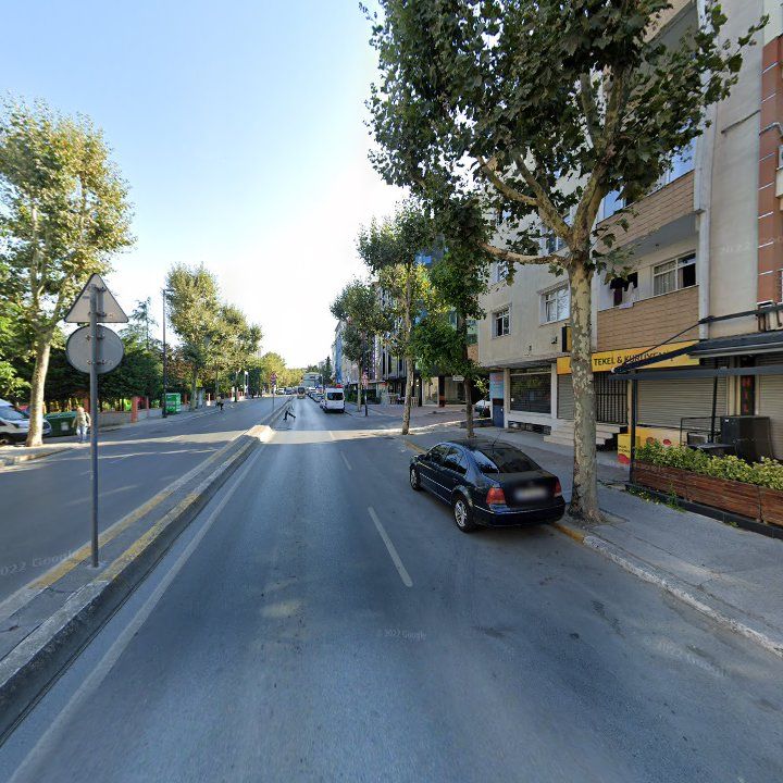 Fotoğraf 12