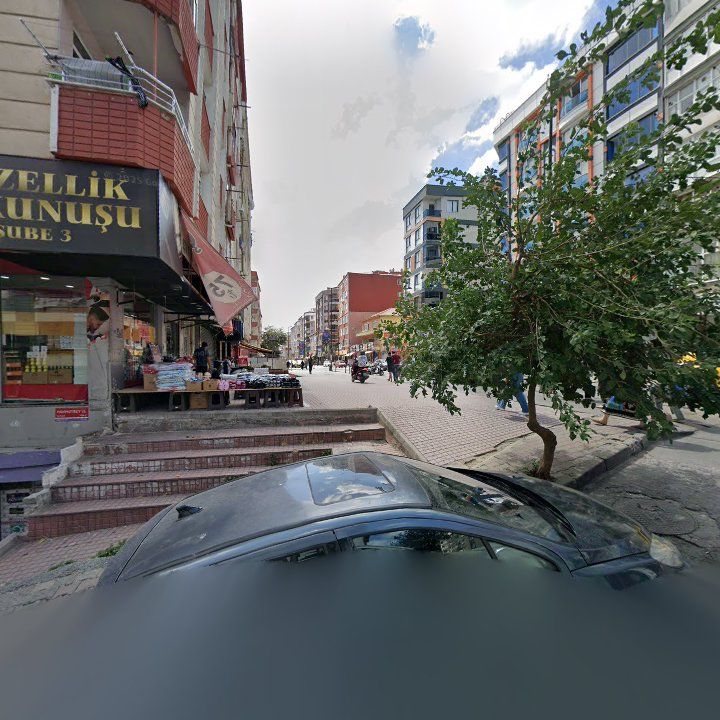 Fotoğraf 13