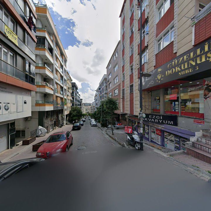 Fotoğraf 12