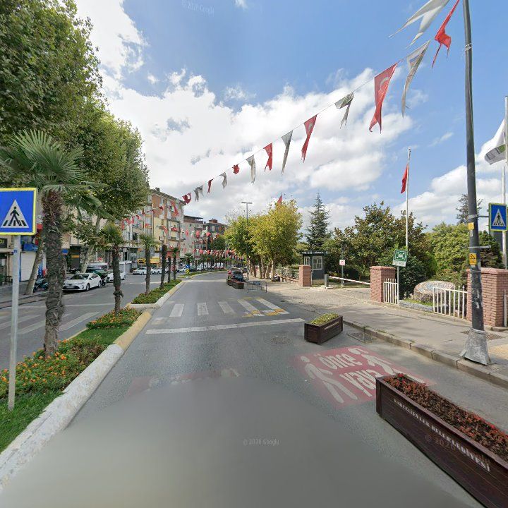 Fotoğraf 9