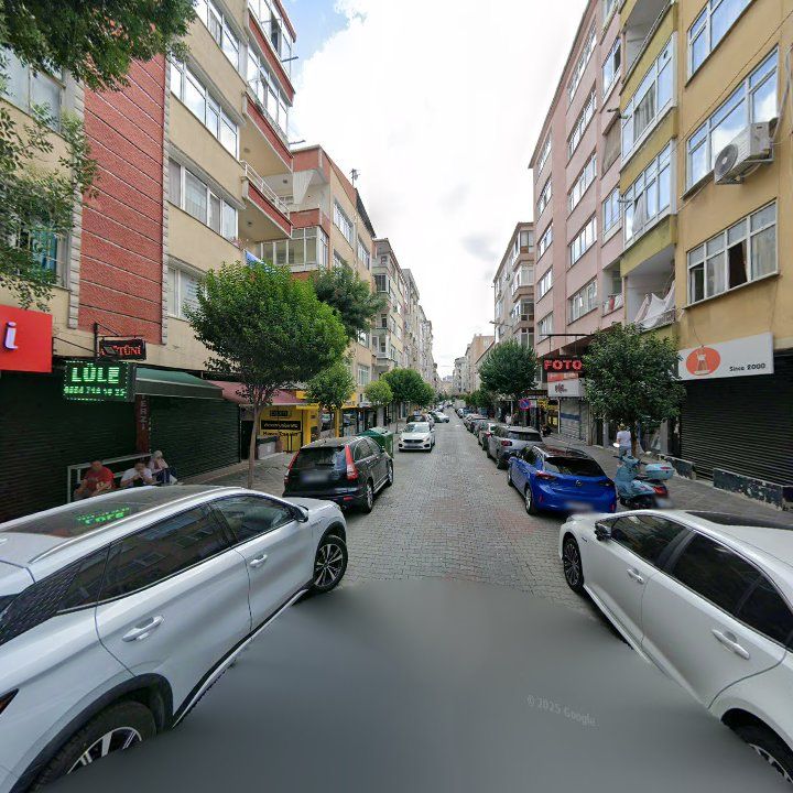 Fotoğraf 13