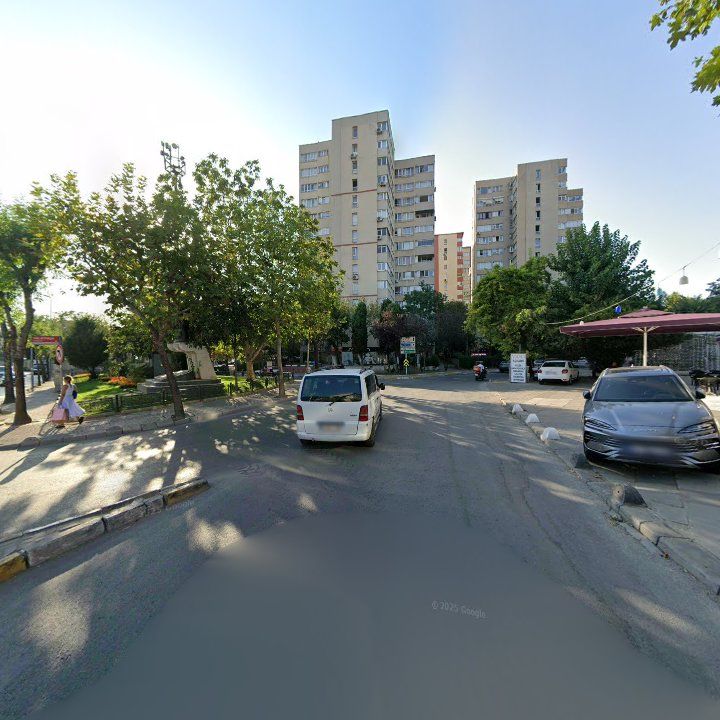 Fotoğraf 12