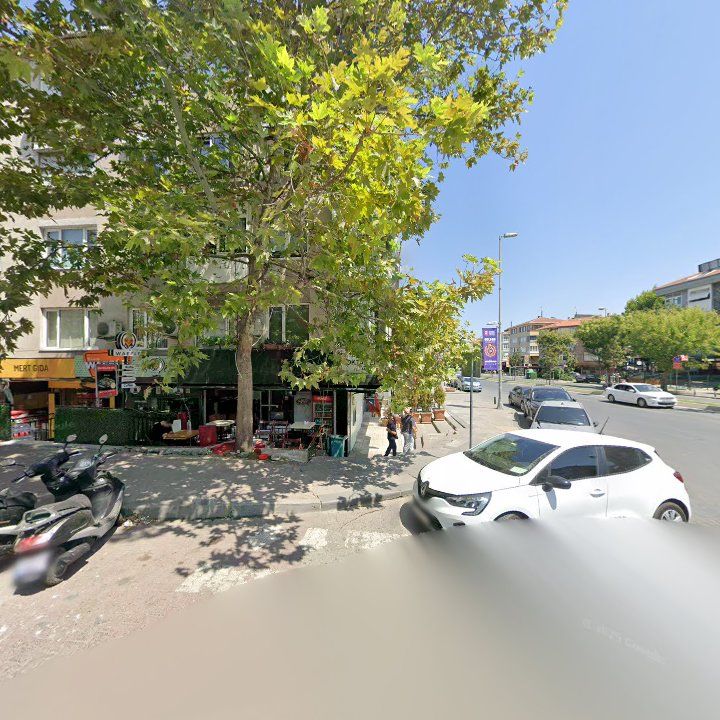 Fotoğraf 12