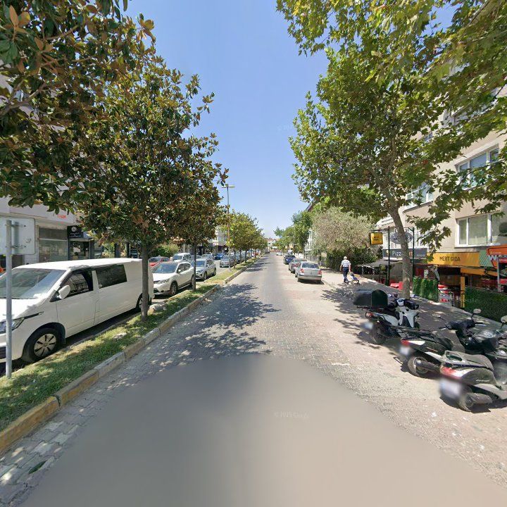 Fotoğraf 11