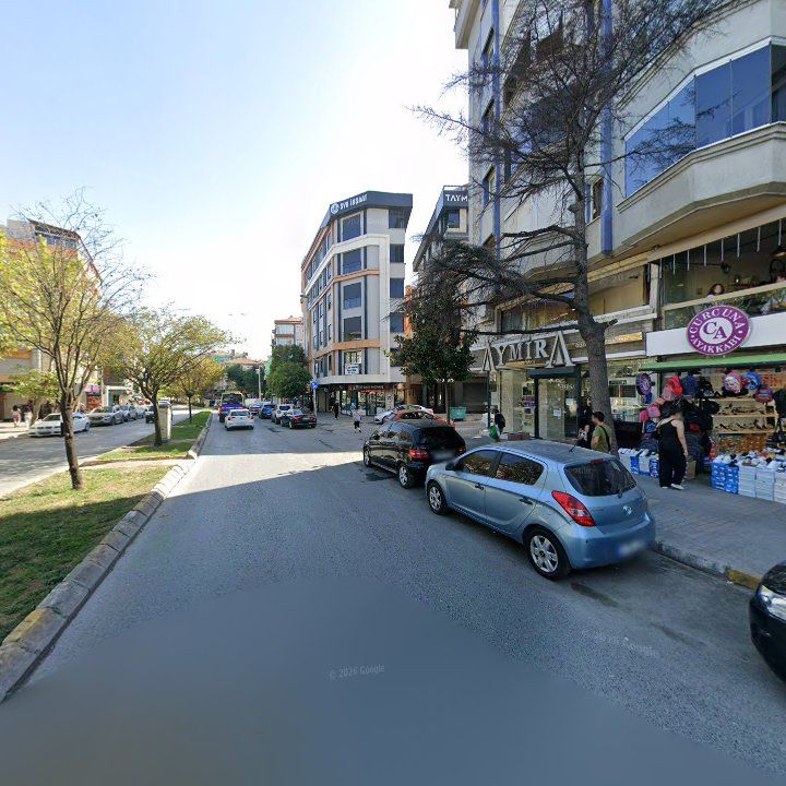 Fotoğraf 7