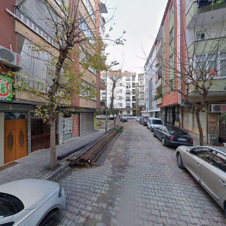Fotoğraf 7