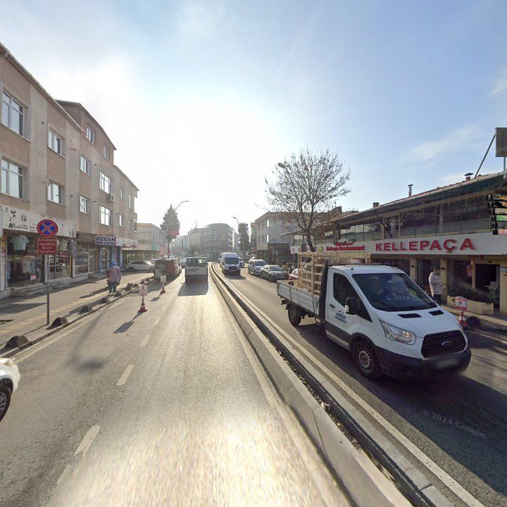 Fotoğraf 12