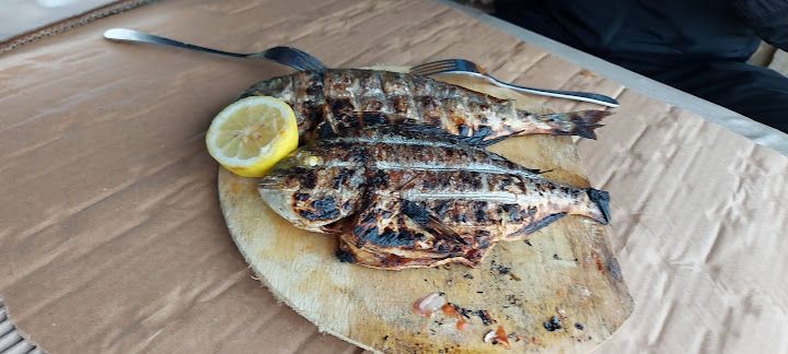 Fotoğraf 32