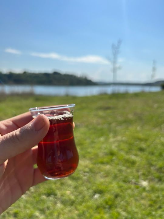 Fotoğraf 28