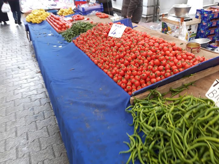 Fotoğraf 9