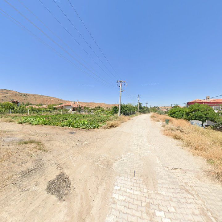 Fotoğraf 5