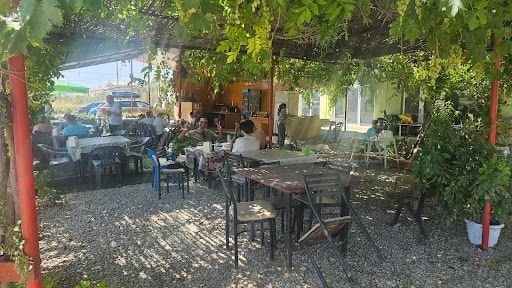 Fotoğraf 11