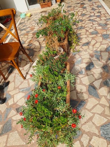 Yorum fotoğrafı 8