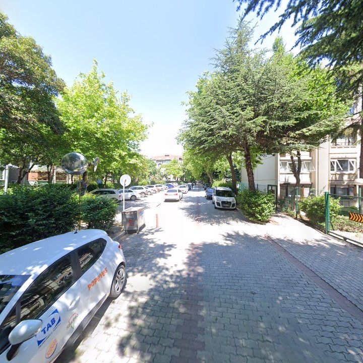Fotoğraf 8