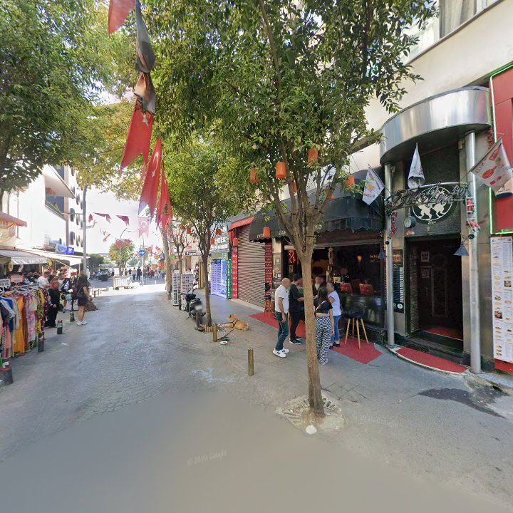 Fotoğraf 12