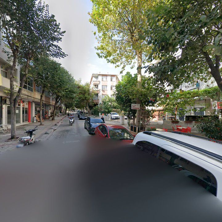 Fotoğraf 12
