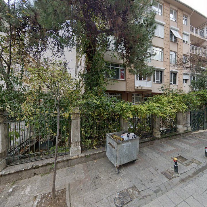 Fotoğraf 10