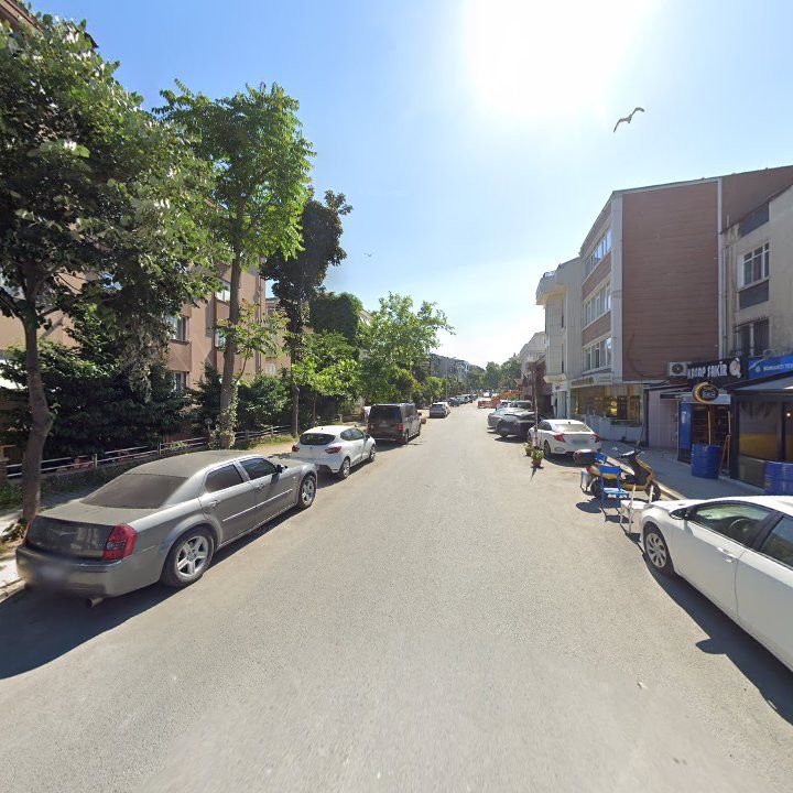 Fotoğraf 11
