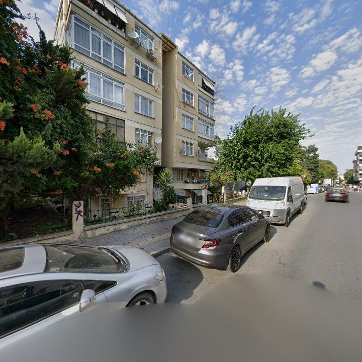 Fotoğraf 13