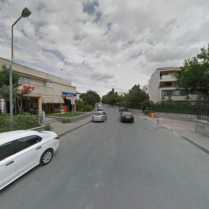 Fotoğraf 9