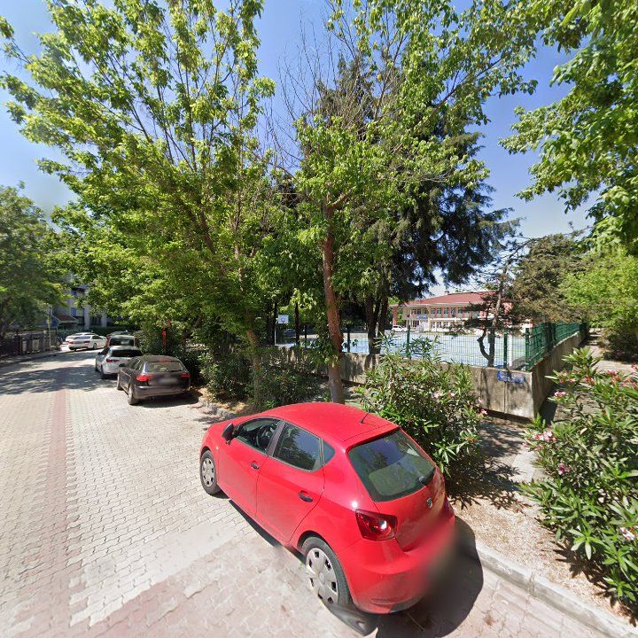 Fotoğraf 10