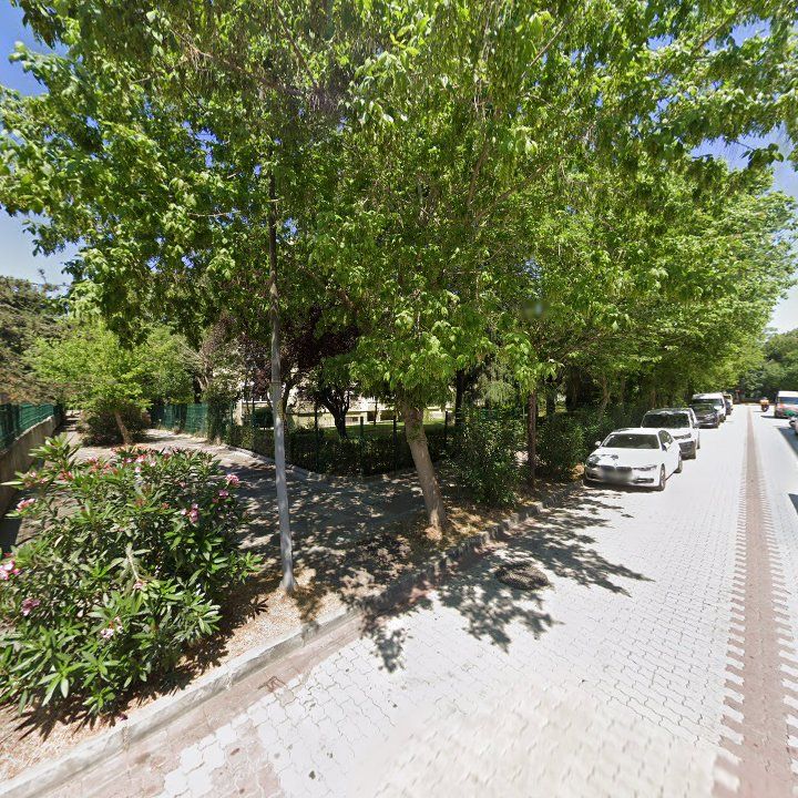 Fotoğraf 11