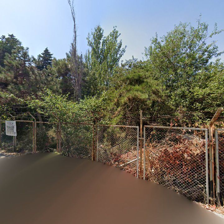 Fotoğraf 12