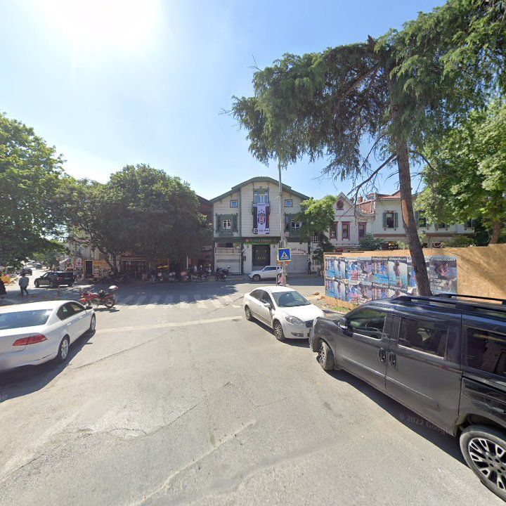 Fotoğraf 12