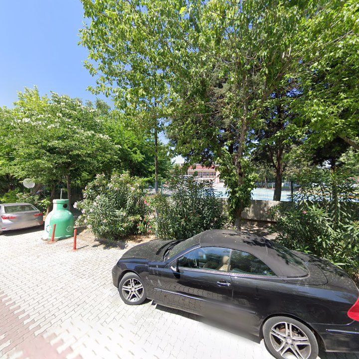 Fotoğraf 7