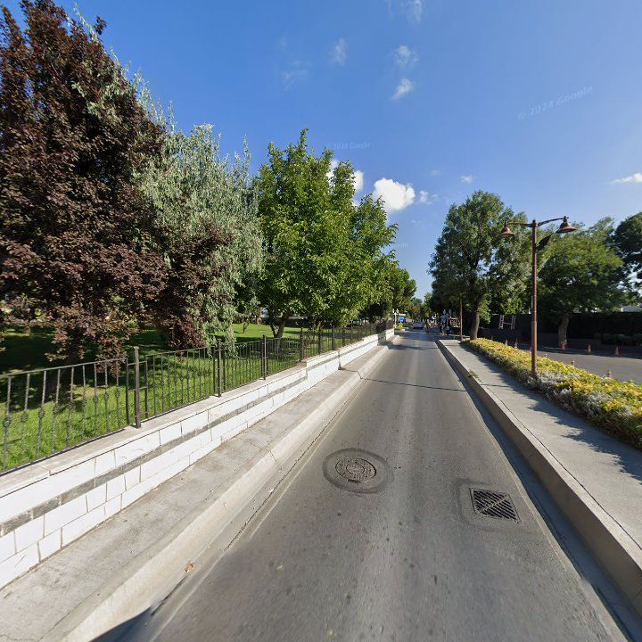 Fotoğraf 16