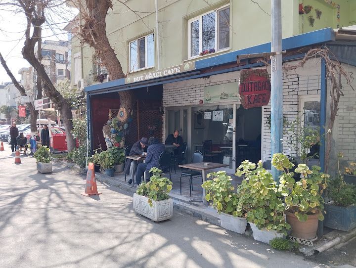 Dut Ağacı Kahvesi