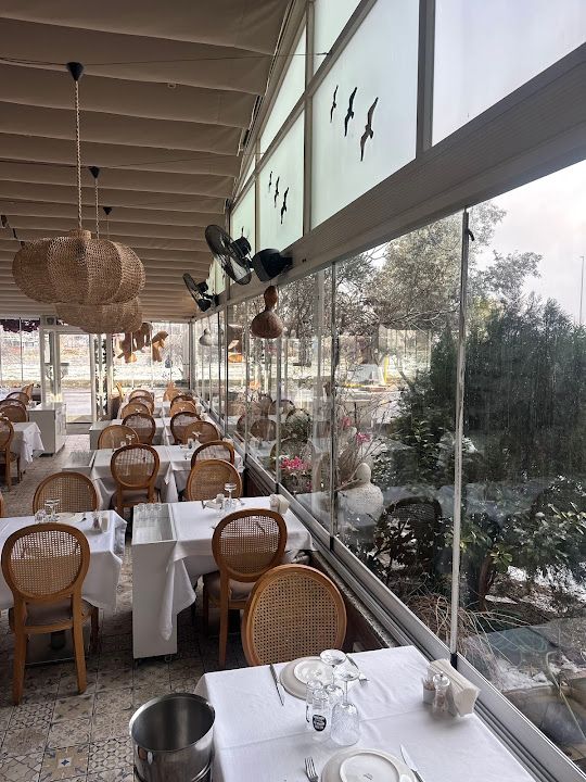 EFE BALIK YEŞİLKÖY