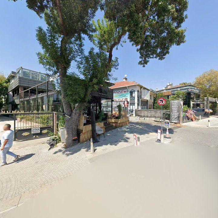 Fotoğraf 13