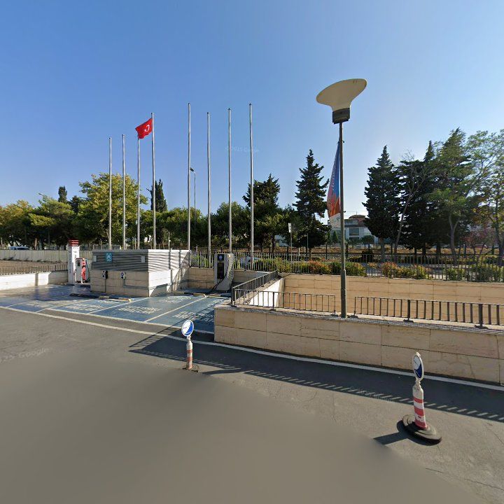 Fotoğraf 12