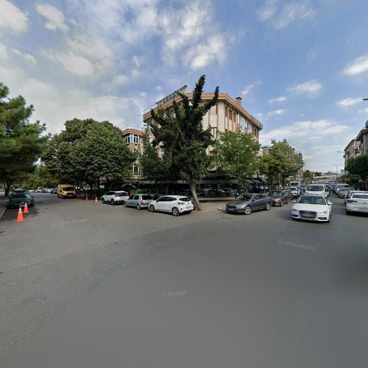 Fotoğraf 16
