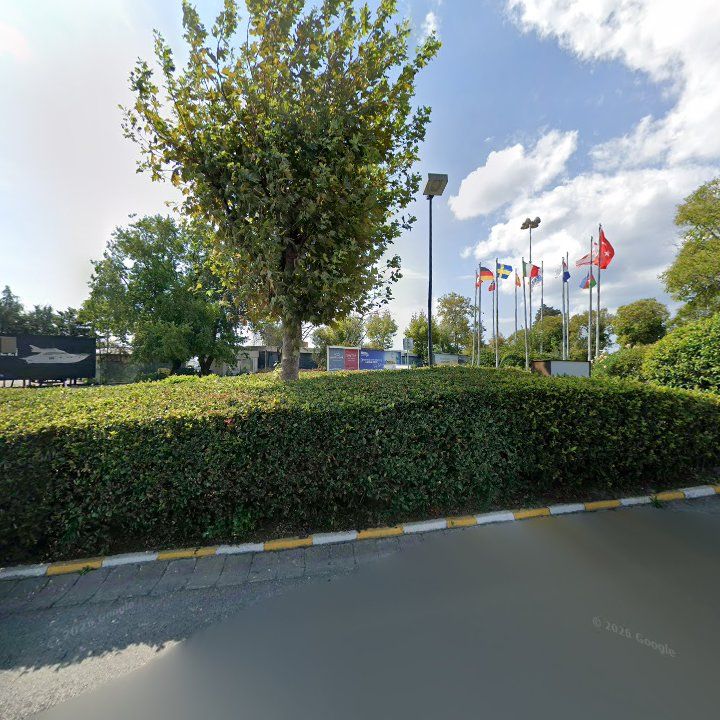 Fotoğraf 16