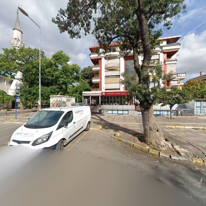Fotoğraf 10