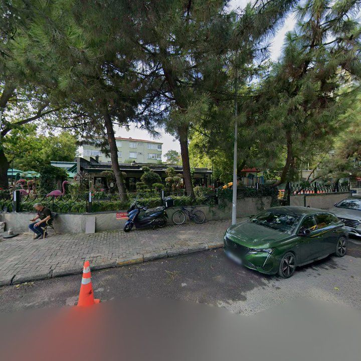 Fotoğraf 12
