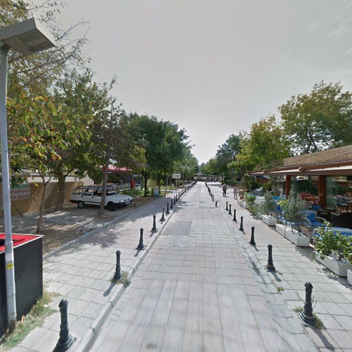 Fotoğraf 12