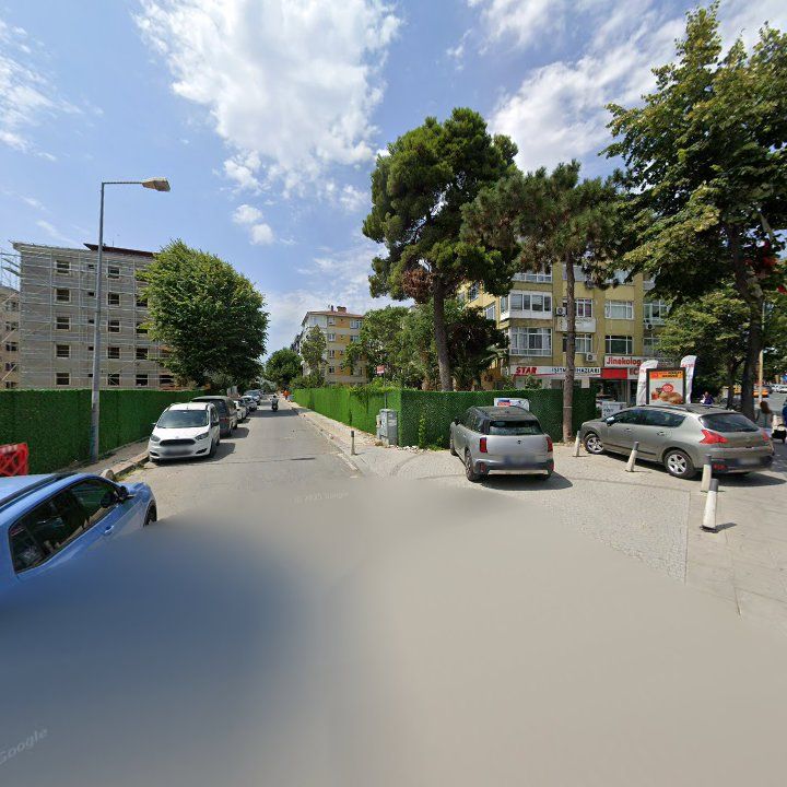 Fotoğraf 12