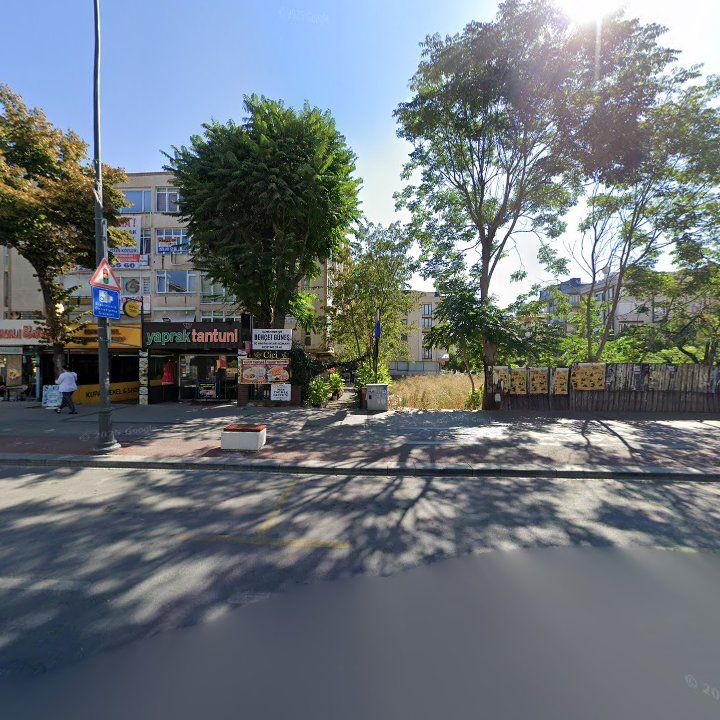 Fotoğraf 10