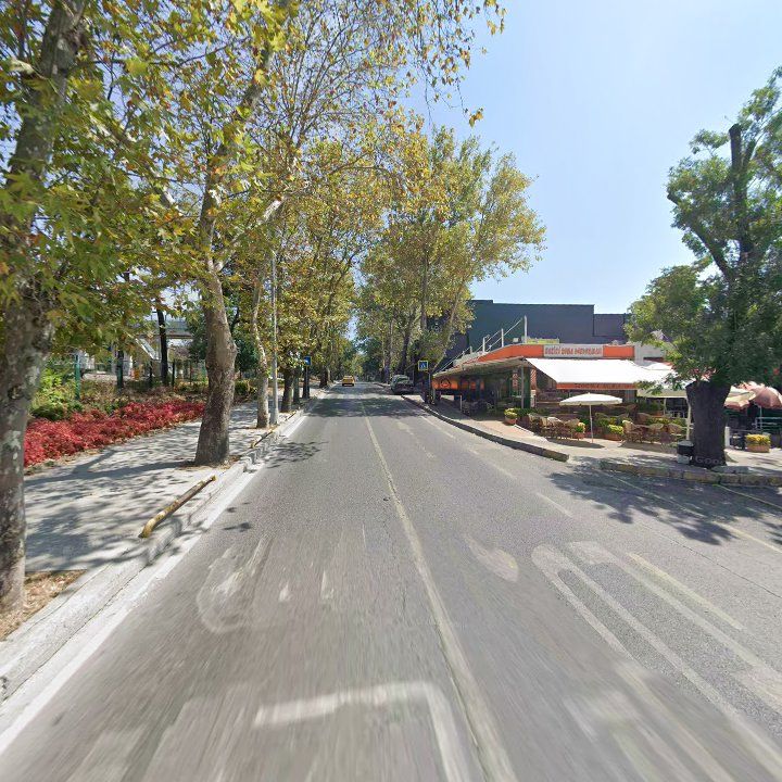Fotoğraf 13