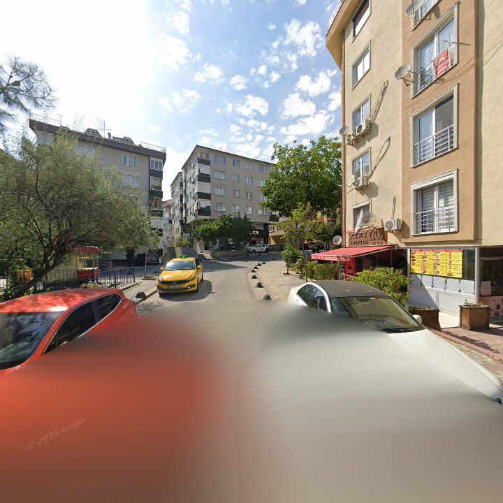 Fotoğraf 11