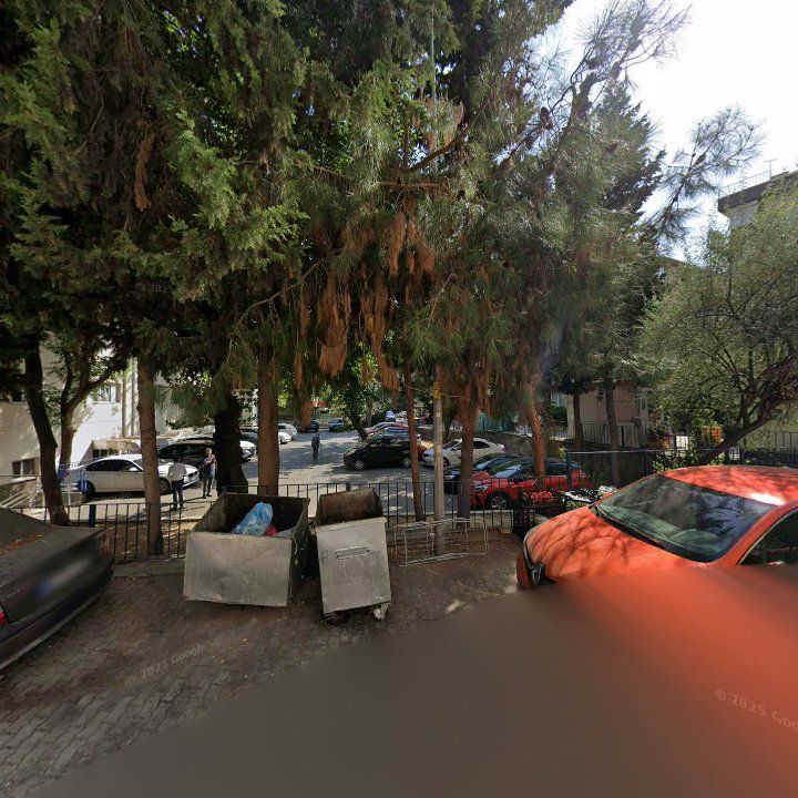 Fotoğraf 10