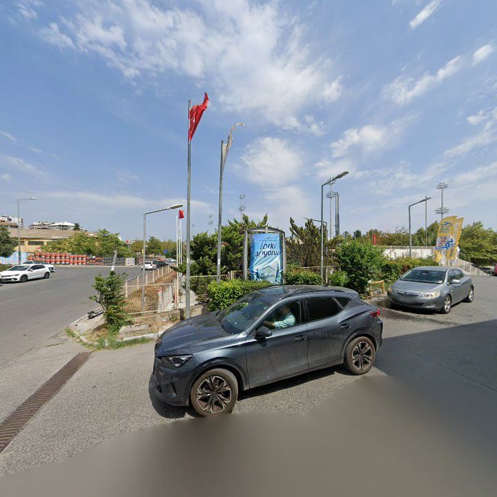 Fotoğraf 11