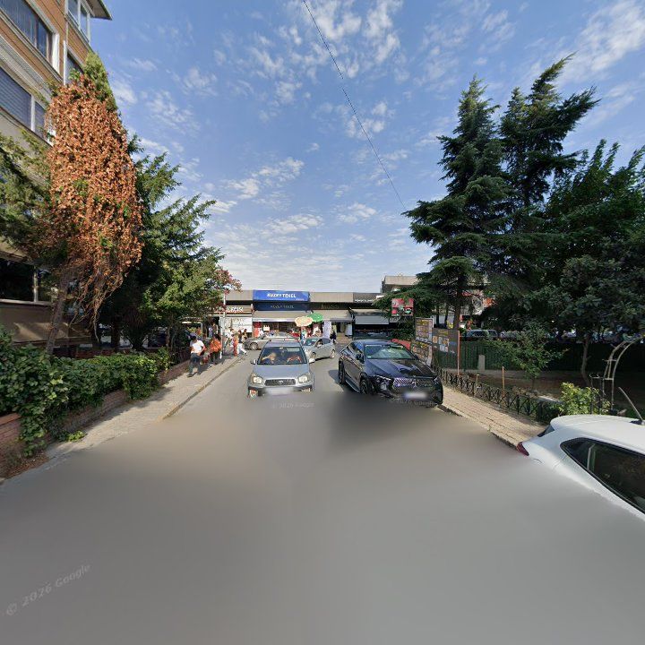 Fotoğraf 10