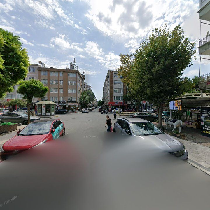 Fotoğraf 12