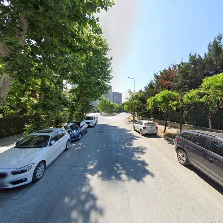 Fotoğraf 11